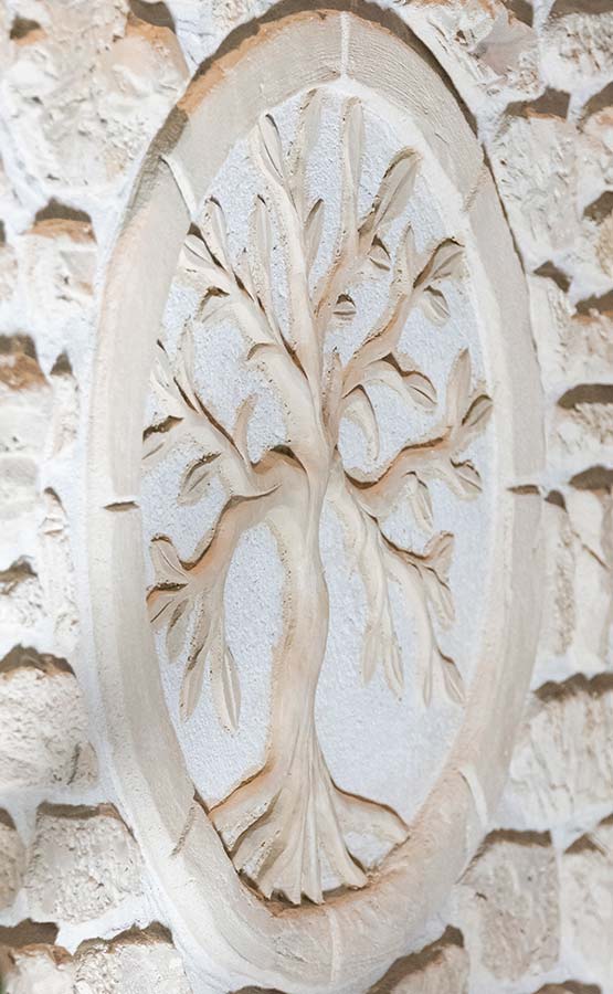Motif d'arbre gravé dans la pierre blanchie
